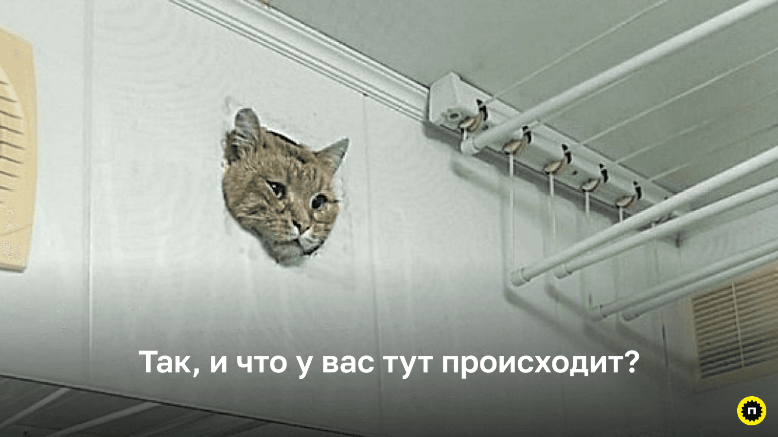Попытка заглянуть «внутрь головы