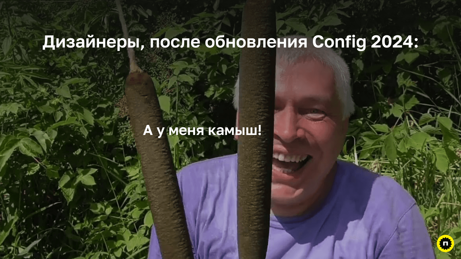 Дизайнеры, после обновления Config 2024