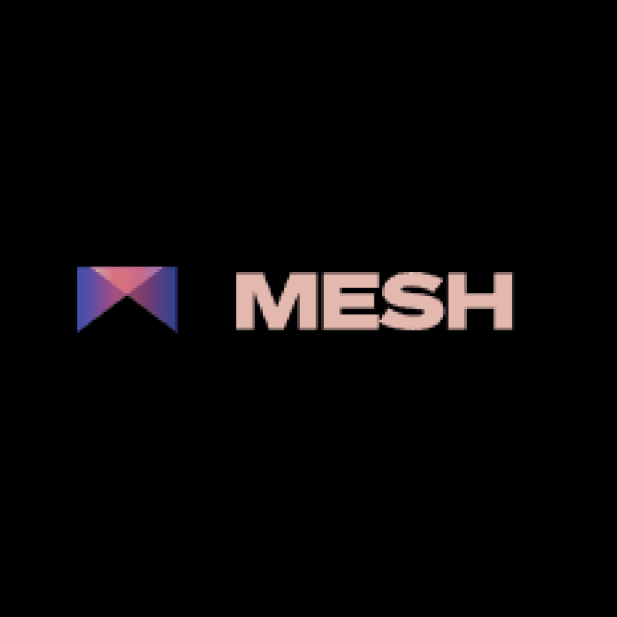 mesh-1.png
