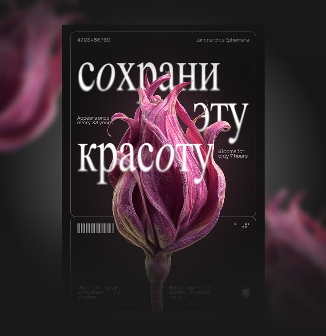 Портфолио графического дизайнера после обучения