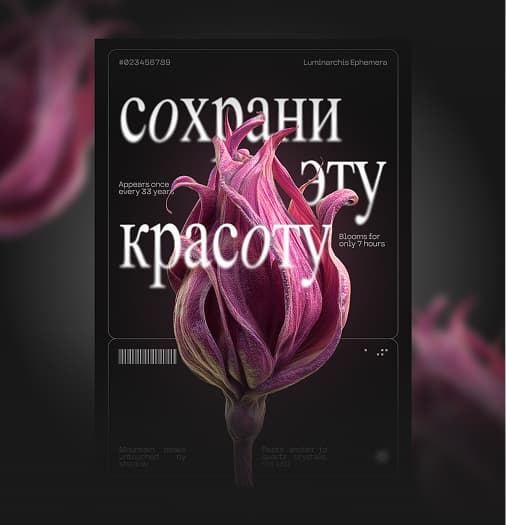 Портфолио графического дизайнера после обучения
