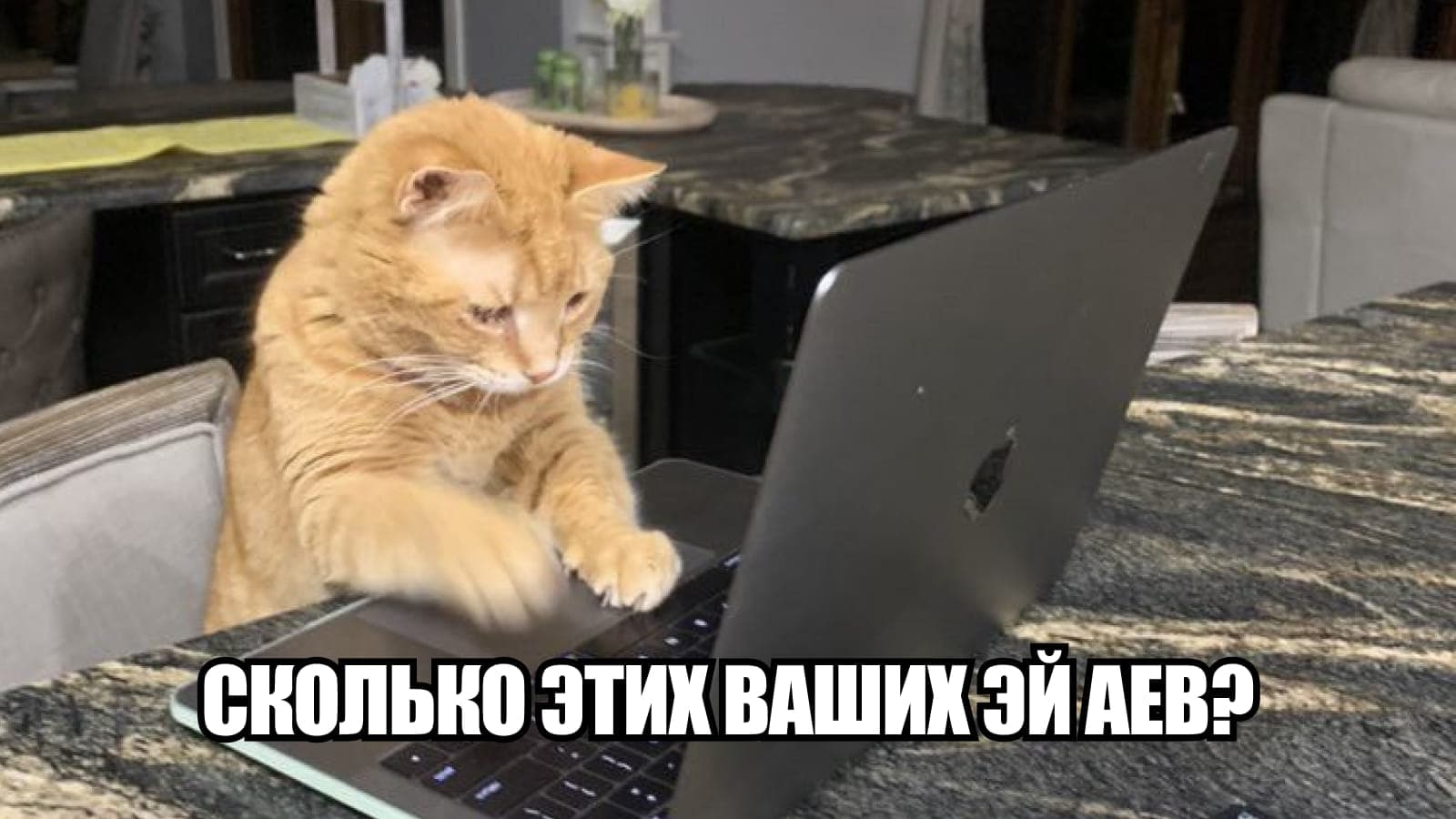 Мем с котом: сколько этих ваших AI-ев?
