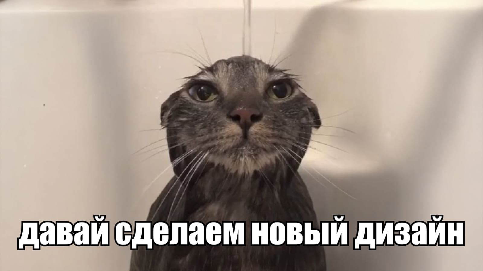 Давай сделаем новый дизайн: мем после презентации единственной концепции Давай сделаем новый дизайн: мем после презентации единственной концепции