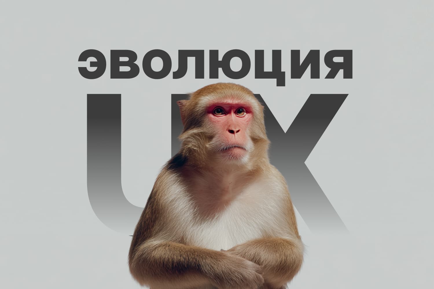 preview-ux-evolution.jpg