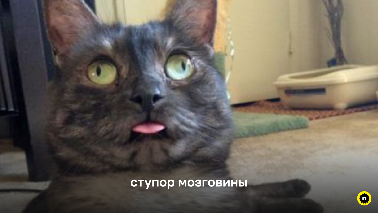 Пародия на типичного пользователя, который запутался в интерфейсе