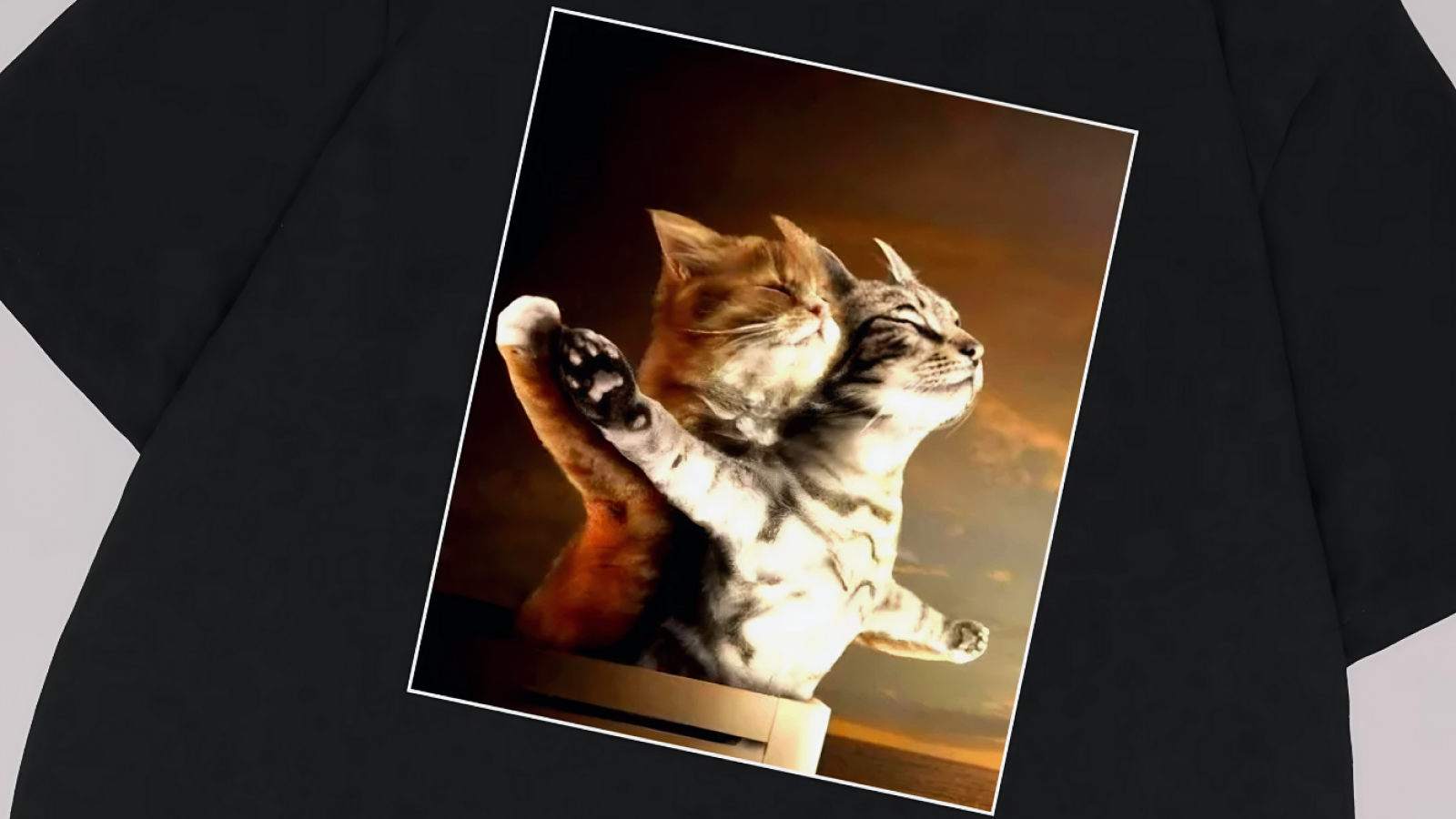 Мемная футболка в стиле фильма Титаник