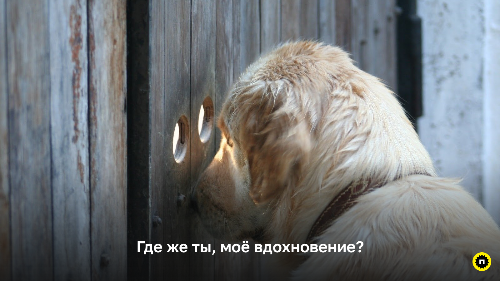 Поиск вдохновения — обязательный этап работы дизайнера