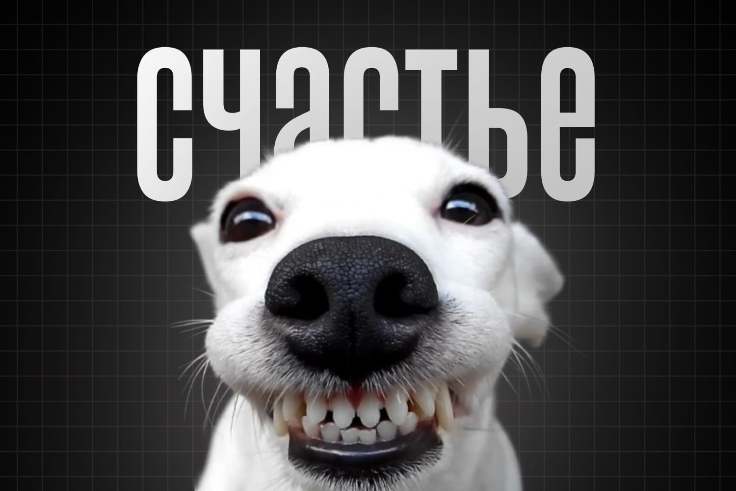 Как дизайн делает тебя счастливее?